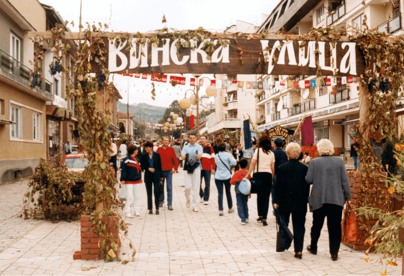 VInska ulica u Aleksandrovcu