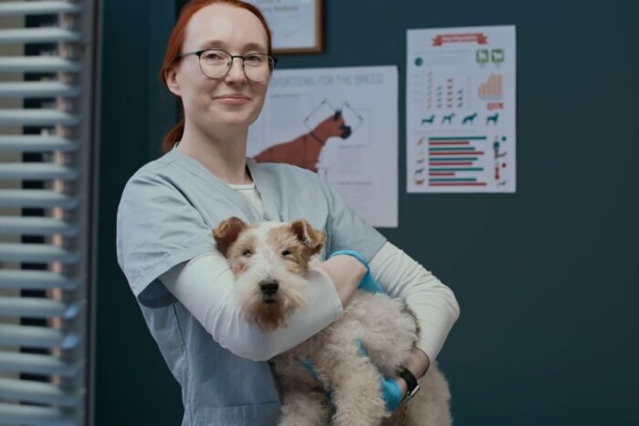 veterinarka grli psa